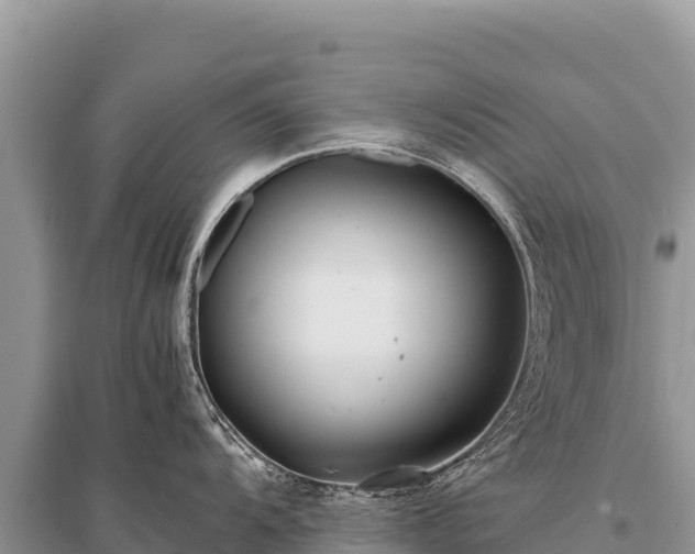 X0000096181104200801251210