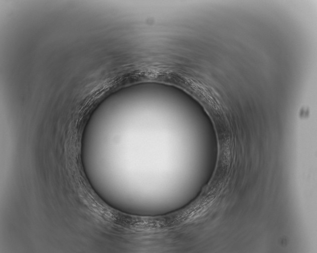 X0000096181105200801251209