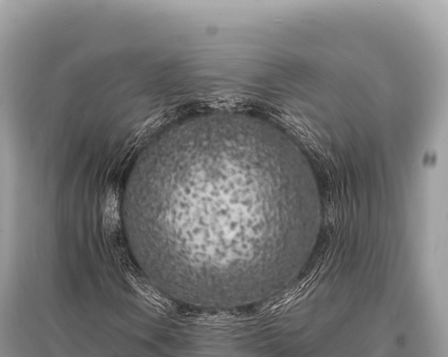 X0000096181106200801251209