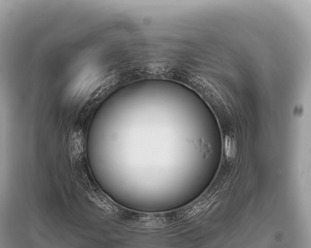X0000096181107200801251209
