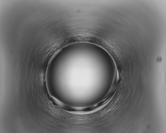 X0000096181108200801251209