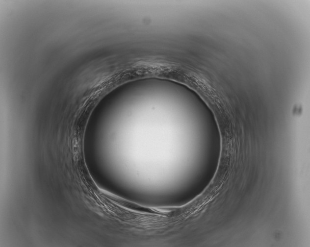 X0000096181109200801251209