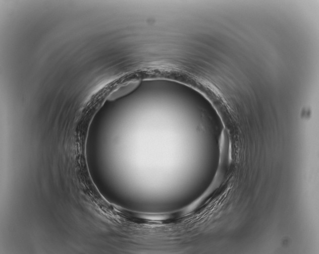 X0000096181112200801251209