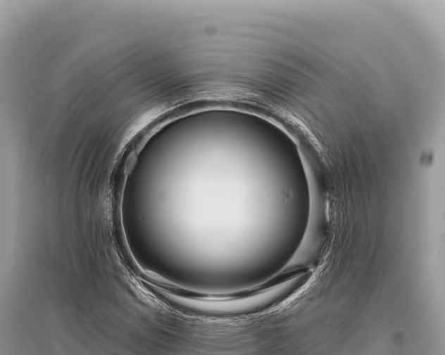 X0000096181114200801251209