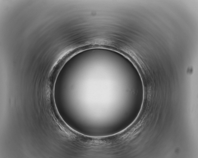 X0000096181115200801251209