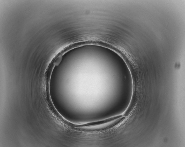 X0000096181118200801251209