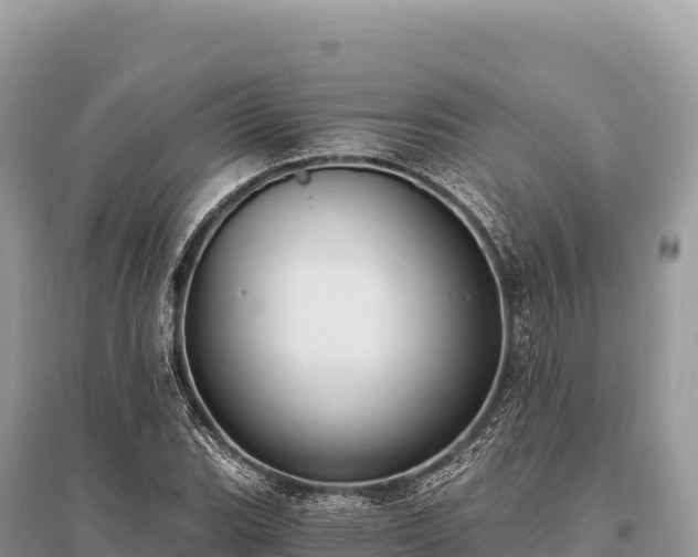 X0000096181119200801251209