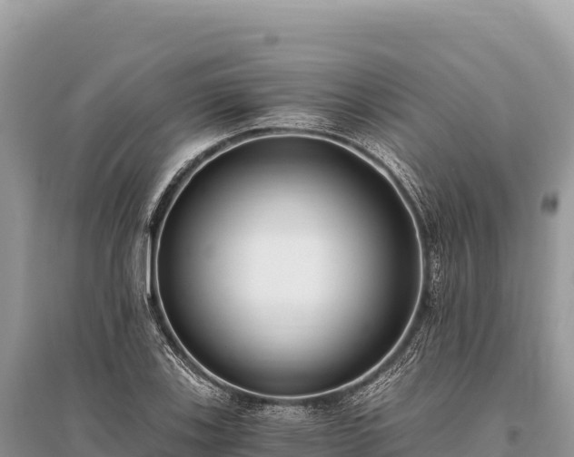 X0000096181123200801251209