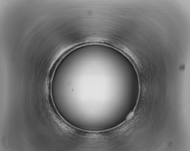 X0000096181124200801251209