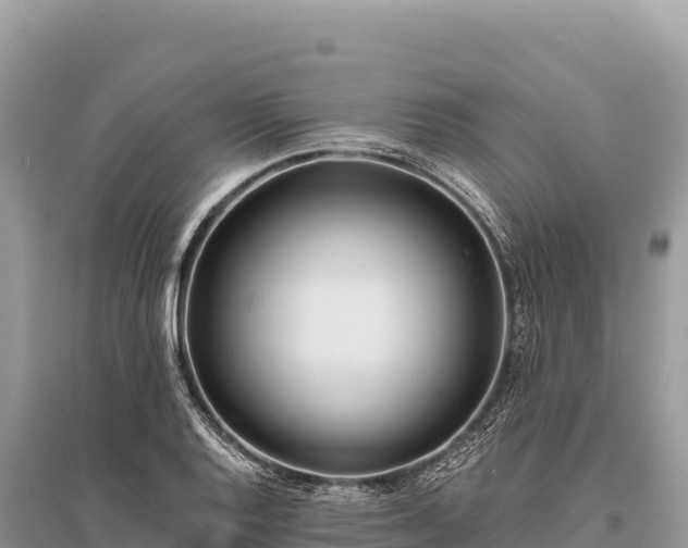 X0000096181128200801251209