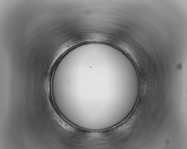 X0000096181130200801251209