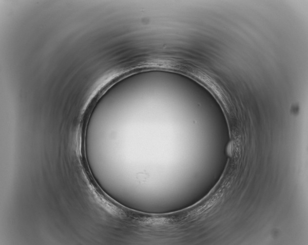 X0000096181131200801251209