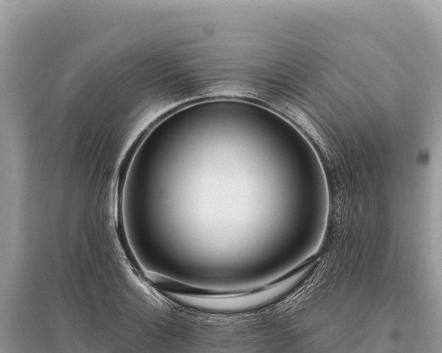 X0000096181132200801251209