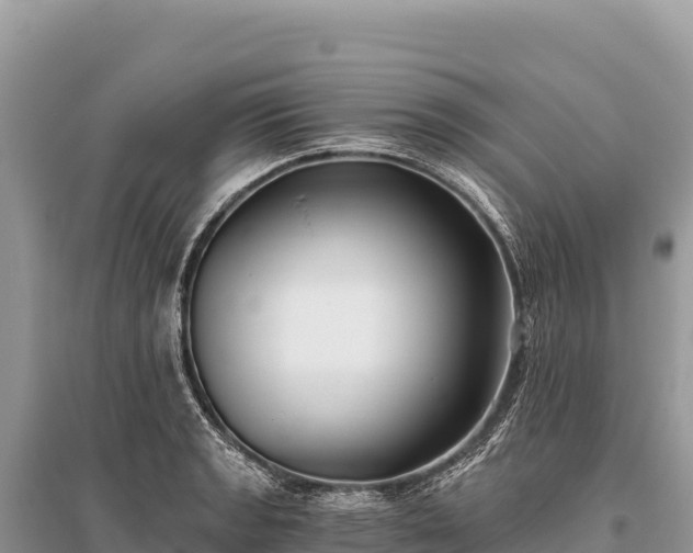 X0000096181133200801251209
