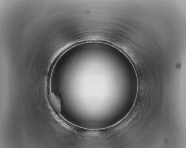 X0000096181134200801251209