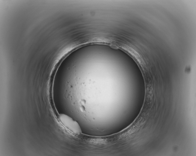 X0000096181135200801251209