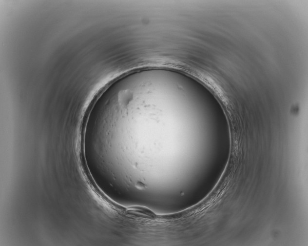 X0000096181136200801251209