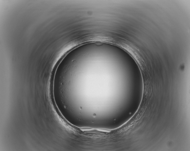 X0000096181139200801251209