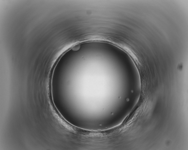 X0000096181142200801251209