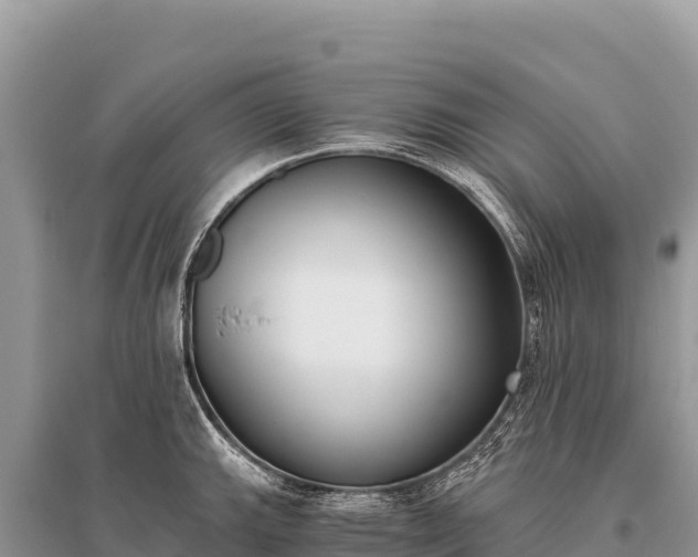 X0000096181143200801251209