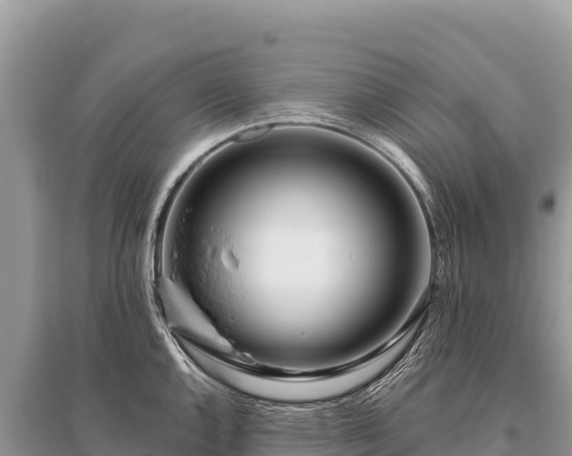 X0000096181144200801251209