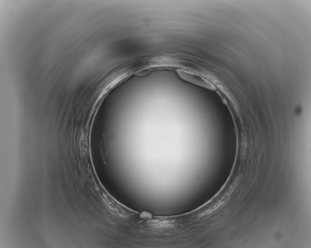 X0000096181145200801251210