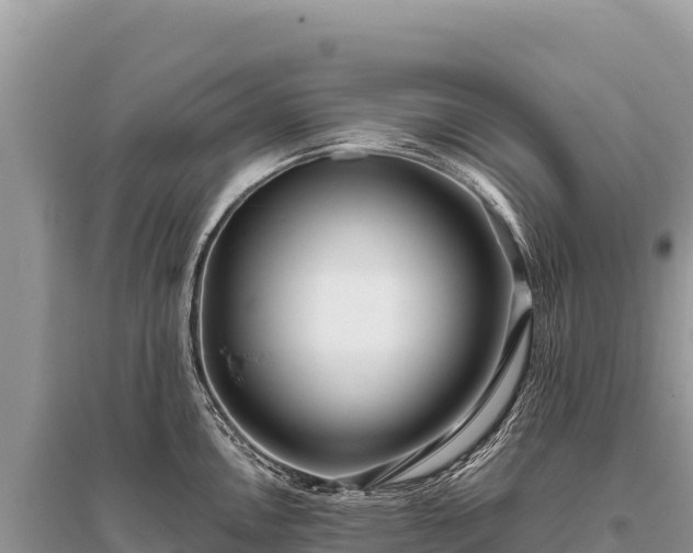 X0000096181146200801251210