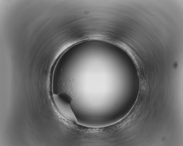 X0000096181147200801251210