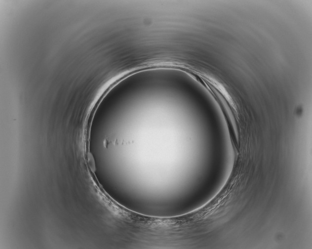 X0000096181148200801251210