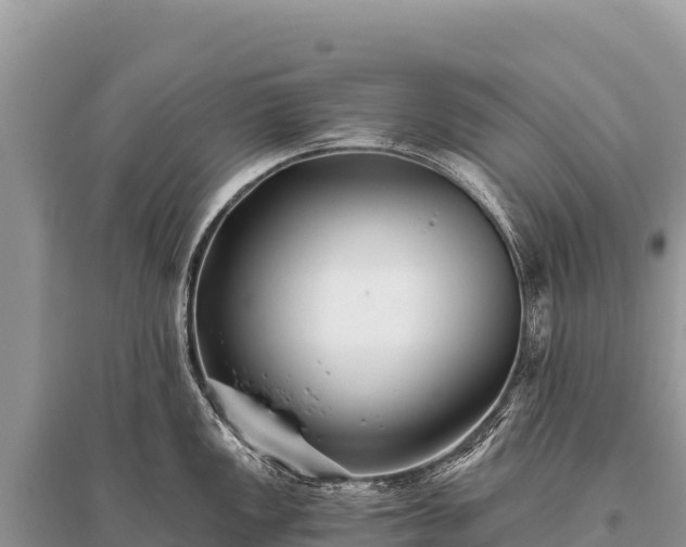 X0000096181149200801251210