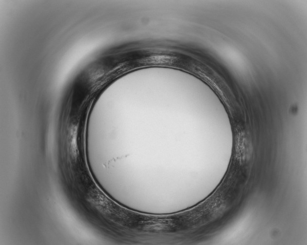 X0000096181150200801251210