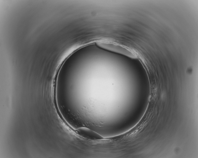 X0000096181151200801251210