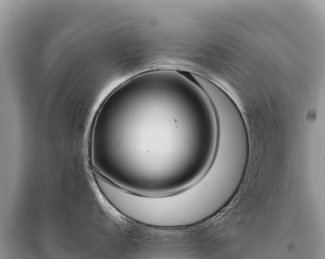 X0000096181152200801251210