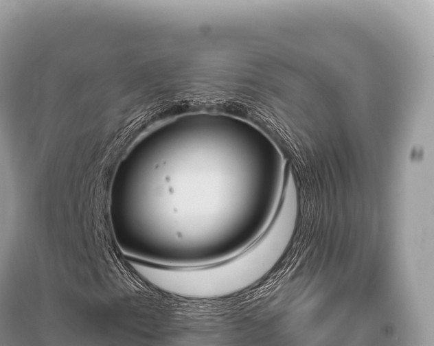 X0000096181153200801251209