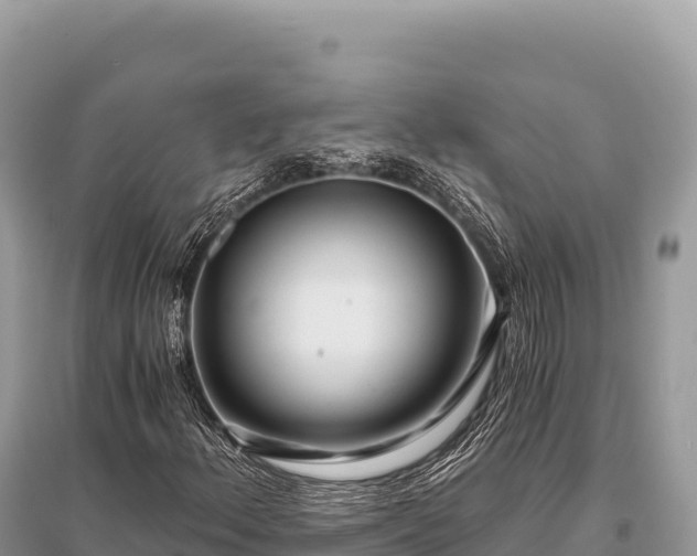 X0000096181156200801251209