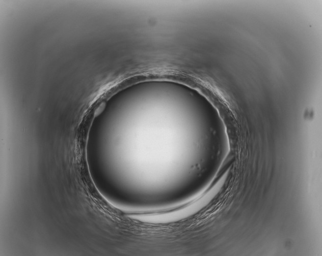 X0000096181160200801251209
