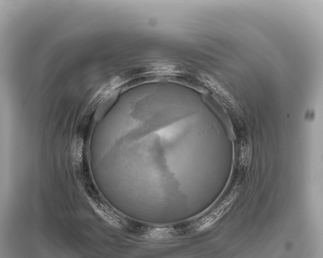 X0000096181161200801251209