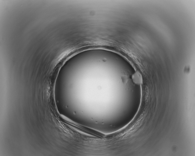 X0000096181163200801251209