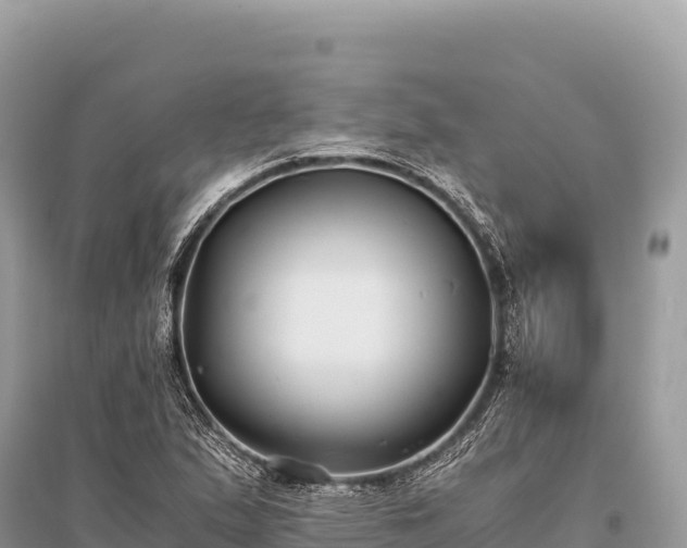 X0000096181167200801251209