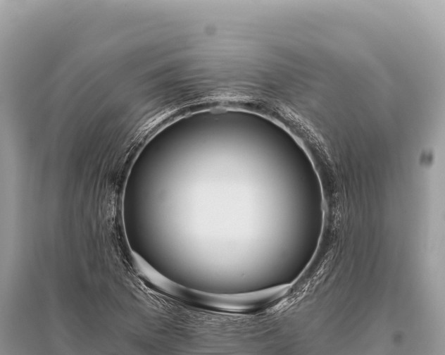 X0000096181169200801251209