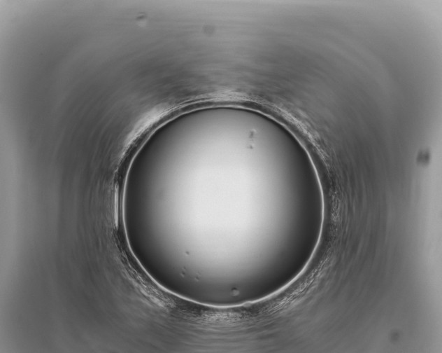 X0000096181171200801251209