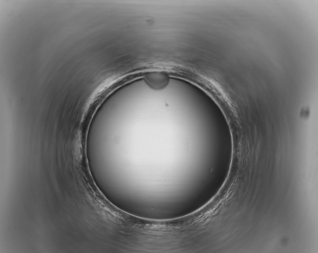 X0000096181172200801251209