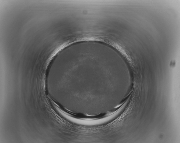 X0000096181173200801251208