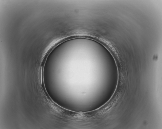 X0000096181175200801251208