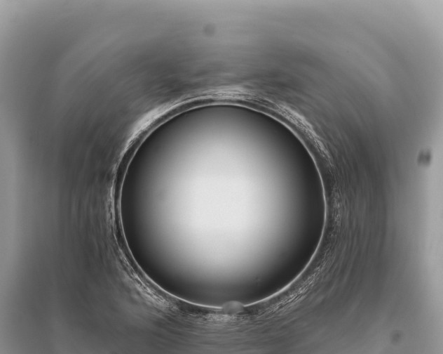 X0000096181176200801251208