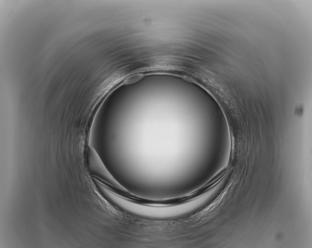 X0000096181177200801251208
