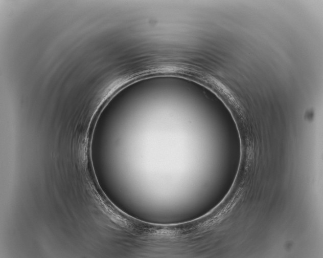 X0000096181178200801251208