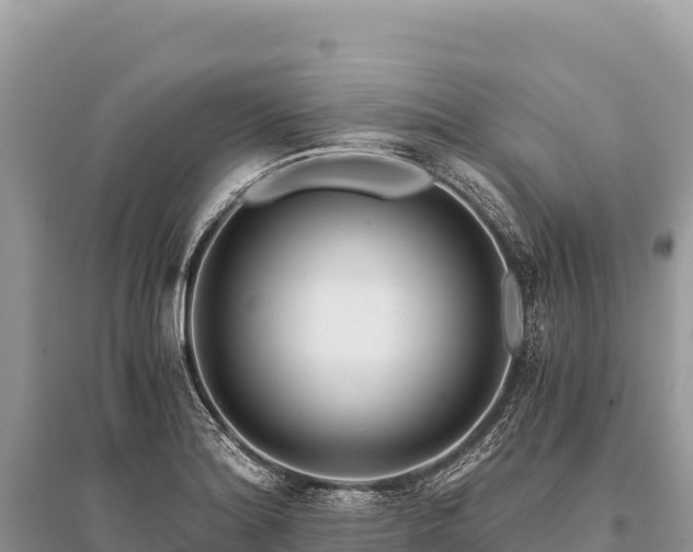 X0000096181180200801251208