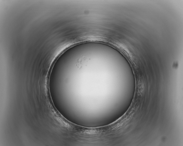 X0000096181182200801251208
