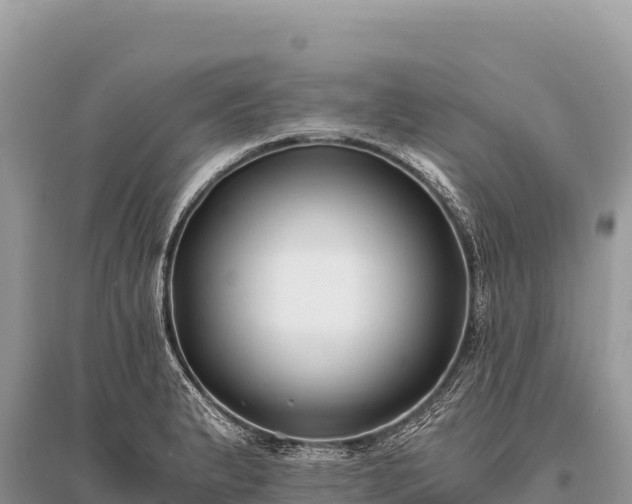 X0000096181183200801251208